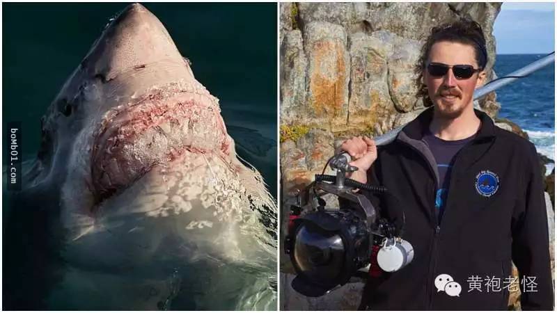 这名男子冒着生命危险拍下“大白鲨张嘴咬他的一瞬间”，结果竟意外发现鲨鱼不为人知的秘密！