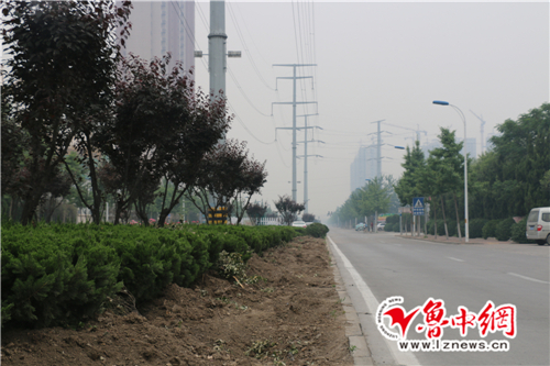 淄博兰雁大道本月22日招标 预计将于26日开工