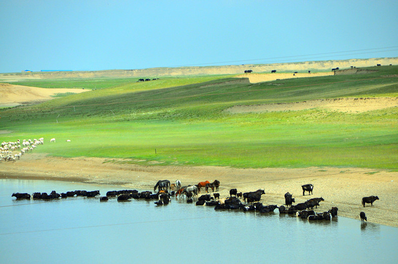 甘南有一片净土 随便什么手机拍出来都是