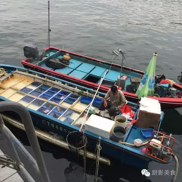 香港西贡海鲜市场,珍稀野生鱼类宝典! 食材宝典 第3张 香港西贡海鲜市场,珍稀野生鱼类宝典! 食材宝典 第3张