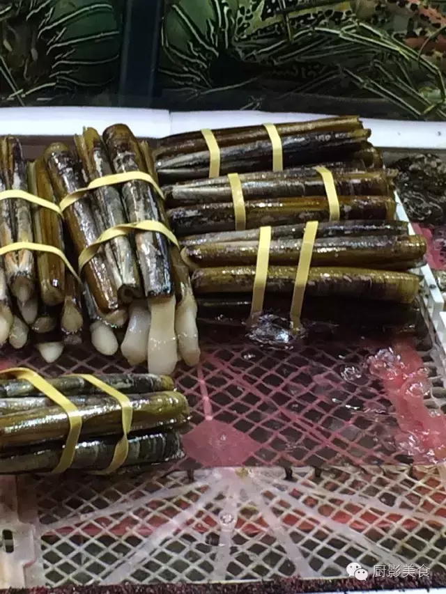 香港西贡海鲜市场,珍稀野生鱼类宝典! 食材宝典 第72张 香港西贡海鲜市场,珍稀野生鱼类宝典! 食材宝典 第72张
