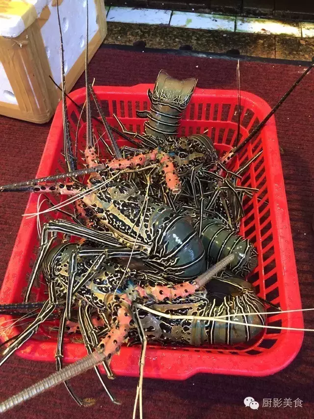 香港西贡海鲜市场,珍稀野生鱼类宝典! 食材宝典 第63张 香港西贡海鲜市场,珍稀野生鱼类宝典! 食材宝典 第63张