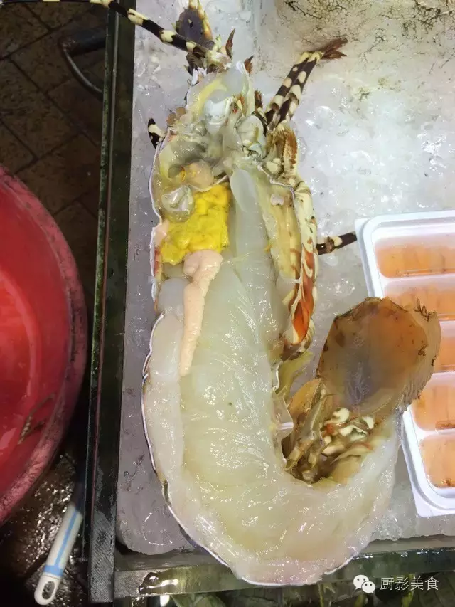 香港西贡海鲜市场,珍稀野生鱼类宝典! 食材宝典 第65张 香港西贡海鲜市场,珍稀野生鱼类宝典! 食材宝典 第65张