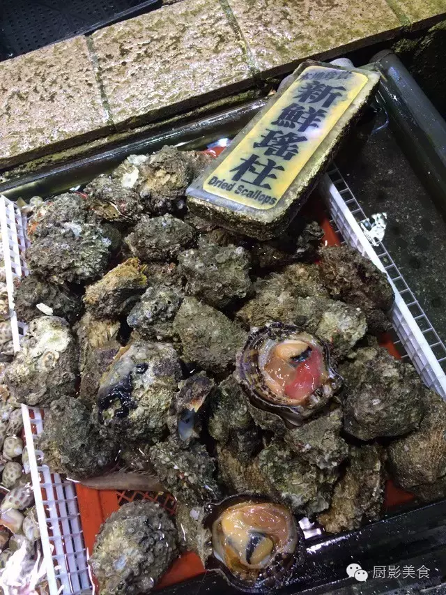 香港西贡海鲜市场,珍稀野生鱼类宝典! 食材宝典 第53张 香港西贡海鲜市场,珍稀野生鱼类宝典! 食材宝典 第53张