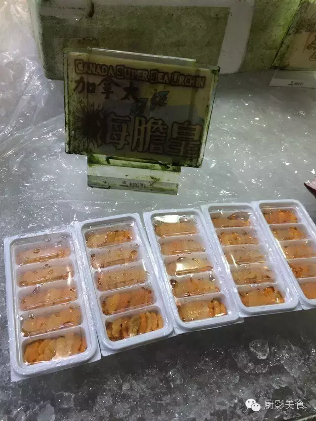 香港西贡海鲜市场,珍稀野生鱼类宝典! 食材宝典 第56张 香港西贡海鲜市场,珍稀野生鱼类宝典! 食材宝典 第56张
