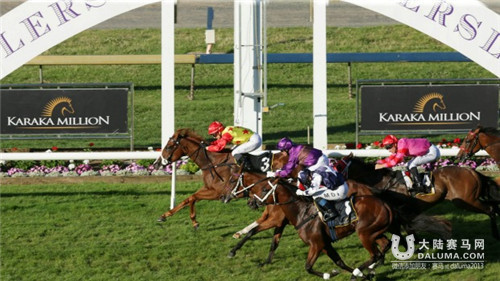 3万的马赢了100万的比赛！“雄风“新西兰奖金最高赛事夺冠