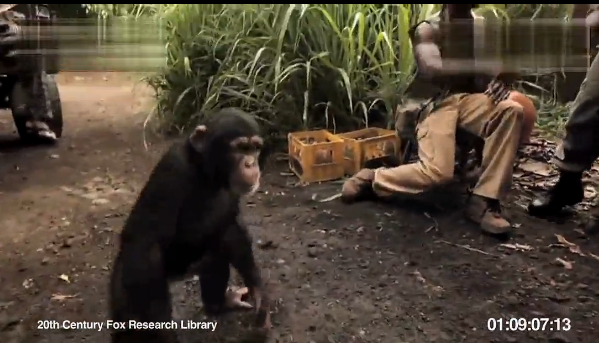把黑猩猩惹恼之后的后果是什么，你们知道吗？AK47直接扫射