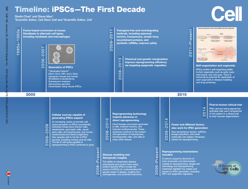 Cell：一张图带你回顾iPSCs的“首个十年”