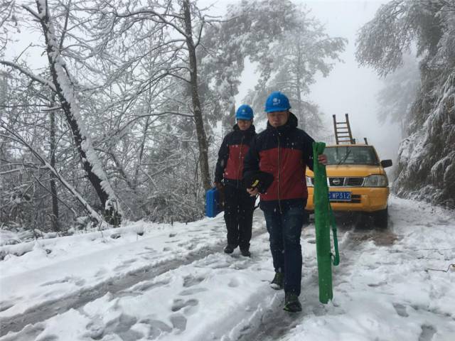 点赞｜温州最美雪景欣赏，赶紧来围观吧！