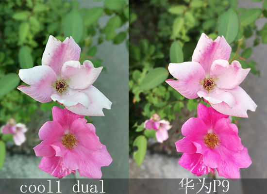 cool1 dual评测 双摄拍照效果和华为P9五五开