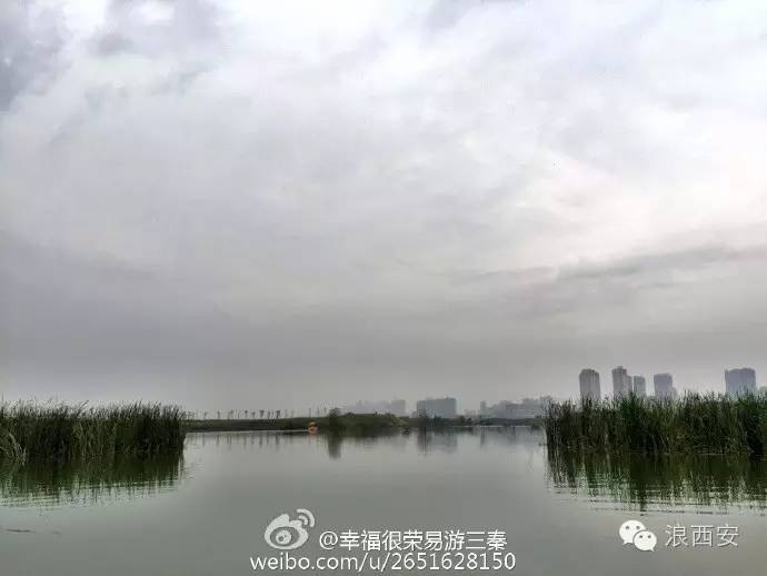 西安灞渭桥车游湿地：放松心情、亲近自然的新去处