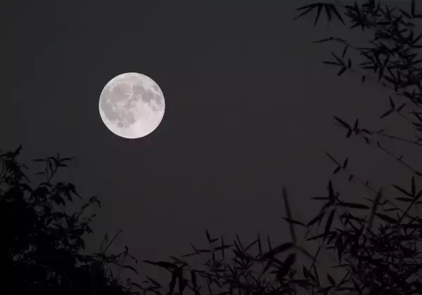 30首月亮古诗简短（跟月亮有关的诗有哪些）
