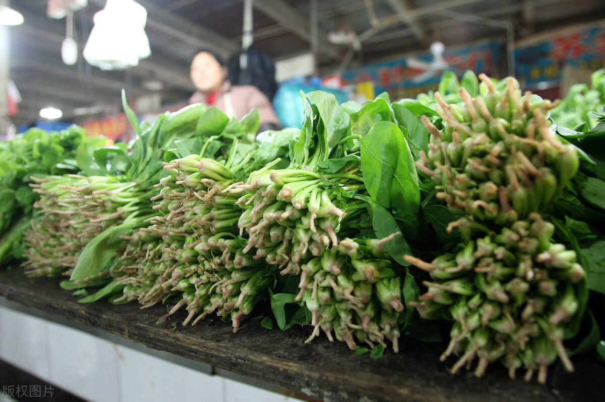 香椿90元一斤，让人望而却步，头茬春菜已上市，能吃得起吗？
