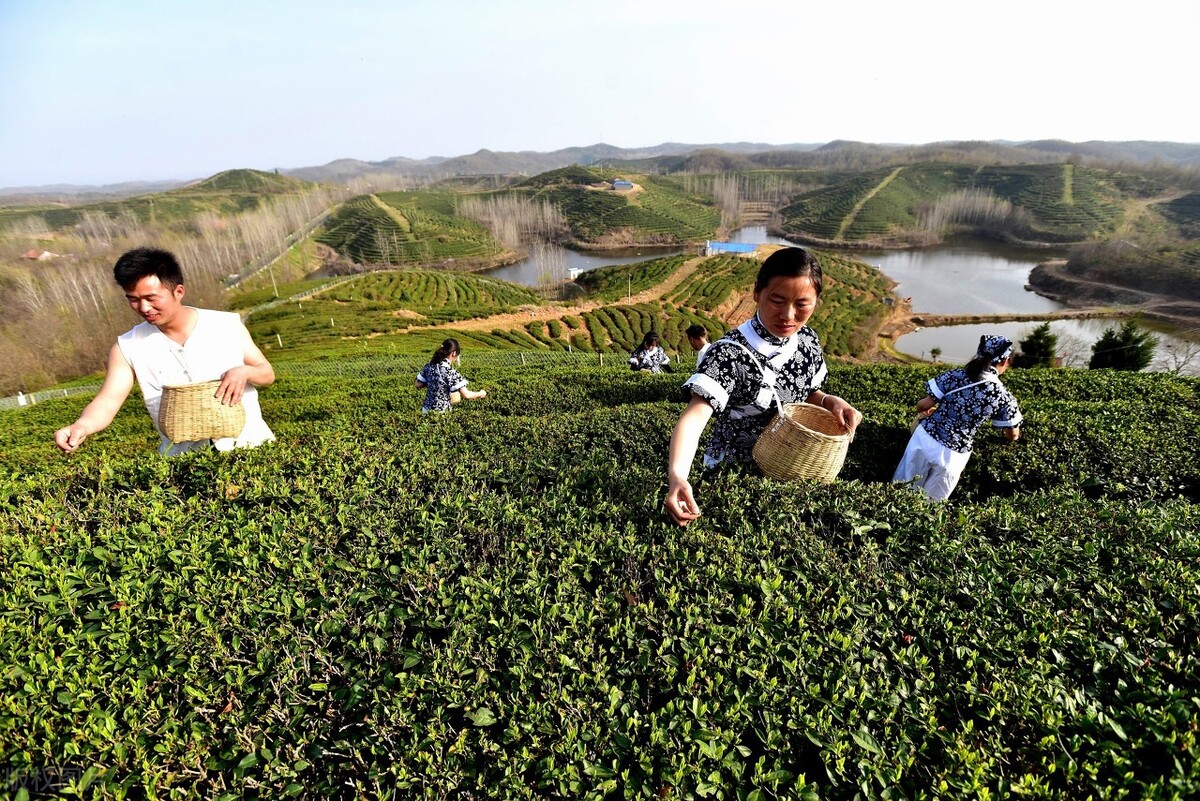 云南6天5晚跟团旅游价格？腾冲旅游景点介绍