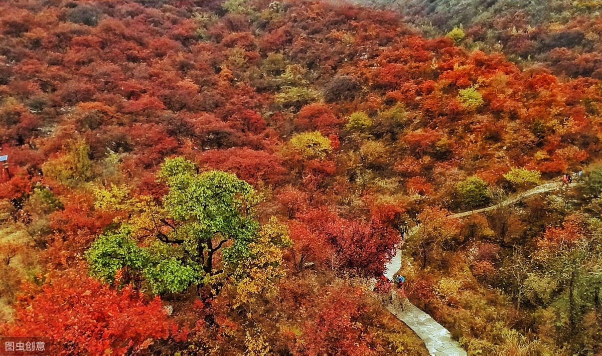 相思枫叶丹：10首枫叶诗词欣赏，你喜欢哪一首？-第6张图片-诗句网