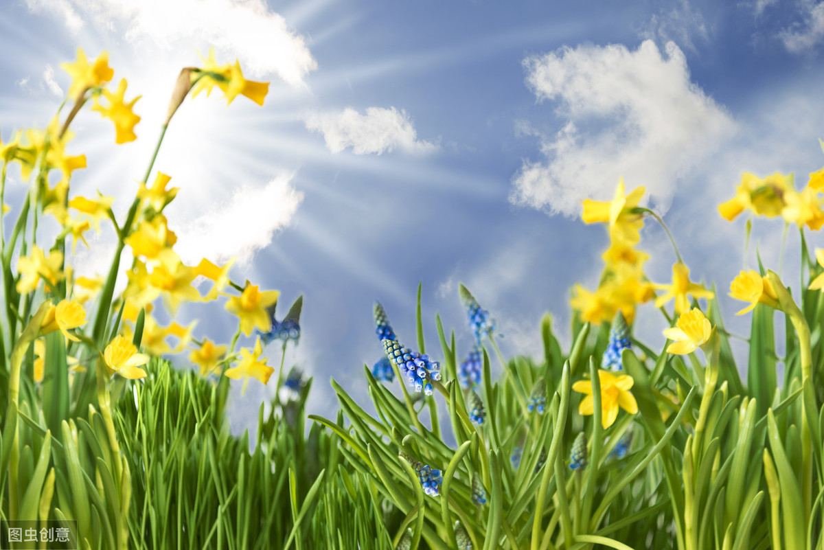 写春天的成语、手抄报，与你共赏春暖花开！
