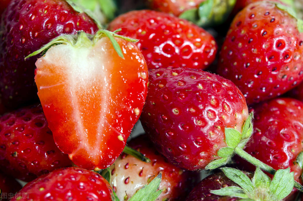 图片[13]-冬天吃不完的草莓怎么储存能延缓腐烂？分享妙招给你学会试下-起舞食谱网