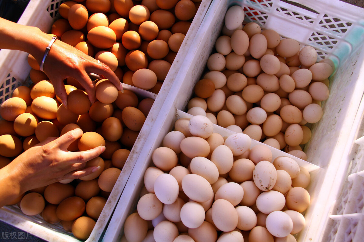 美国农业部出手：中国鸡蛋破6玉米破7，中储粮“被群殴”尴尬了