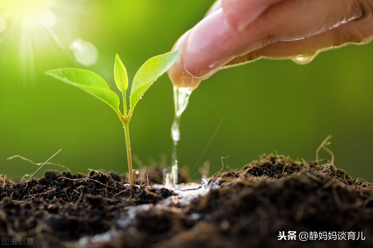 对于孩子暑假该不该学习下学期新课，观点不一，但是不要破坏原则