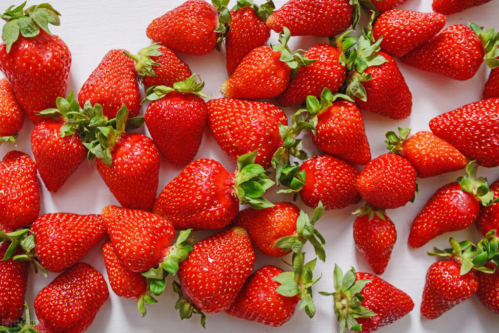 草莓根腐病的克星，草莓专用微生物菌剂，易可收复合微生物菌剂