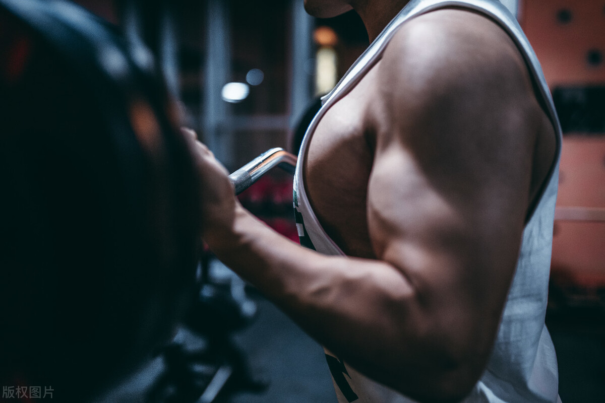 瘦子增肌牢記4個原則，漲最多肌肉，增最少脂肪
