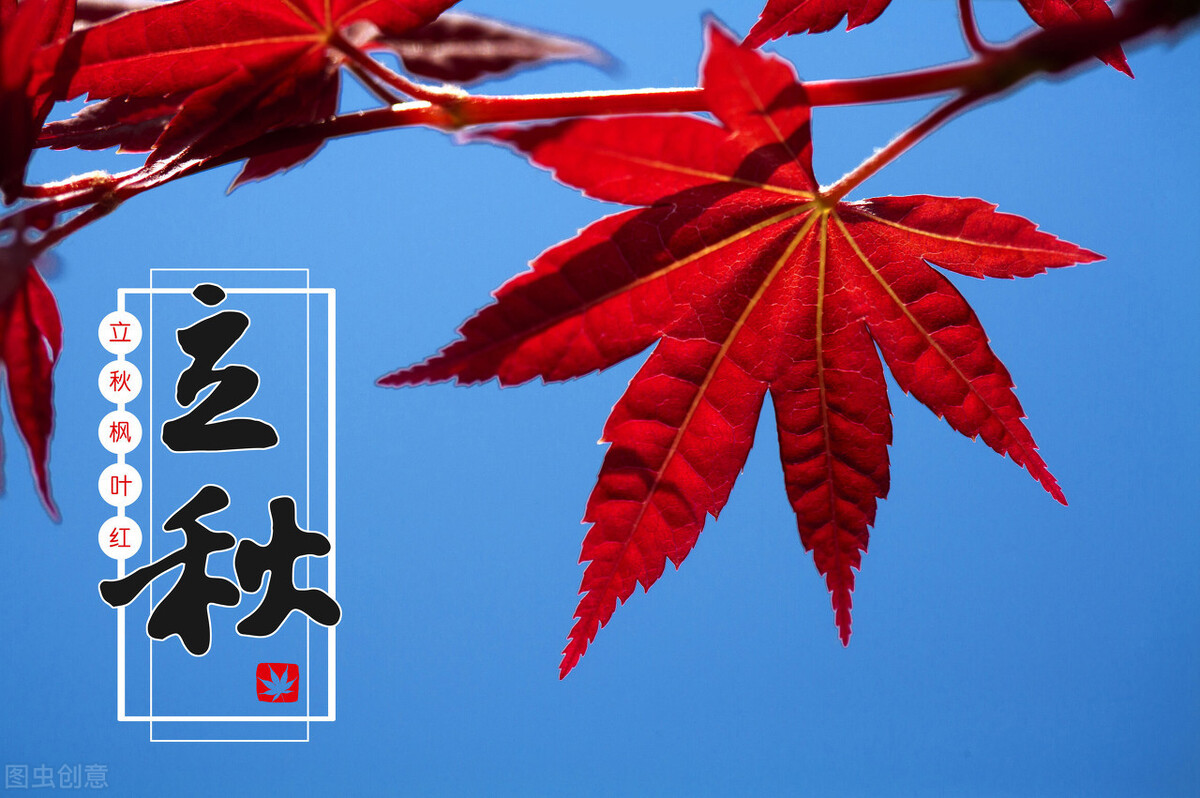 俗话称“早晨立秋凉飕飕，晚上立秋热死牛”，2020年几点立秋