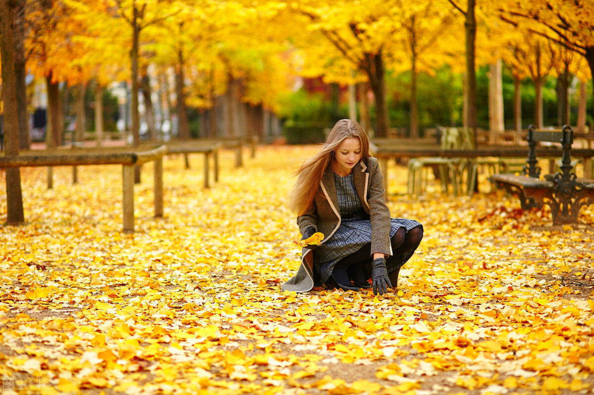 51句经典秋日诗词，抒发这个美丽的秋天