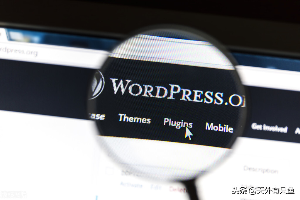 五款最受欢迎的热门wordpress开源主题 - 博客、导航