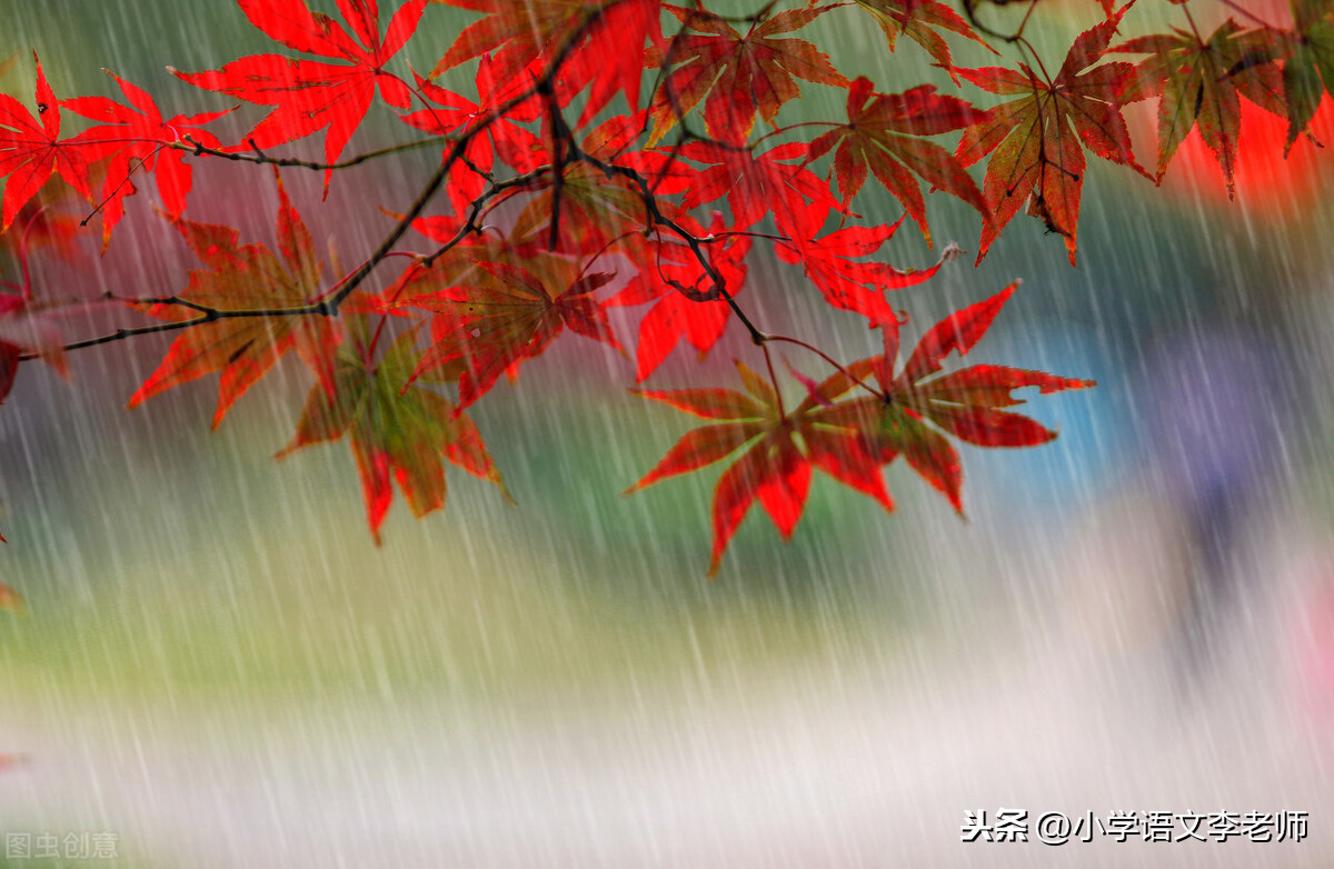 三年级语文上册《秋天的雨》知识点汇总，让孩子打好学习基础