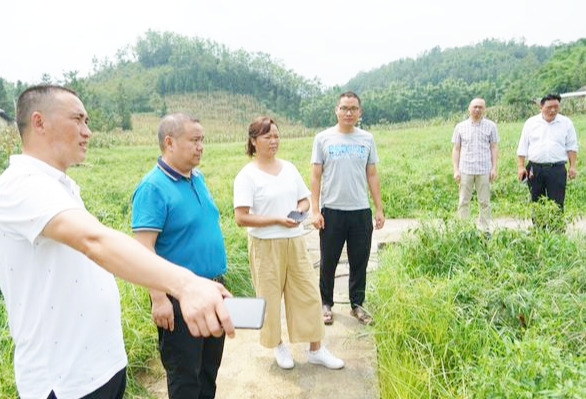 切切真情扶贫 拳拳关爱助力--乐山市精神卫生中心扶贫攻坚进行式