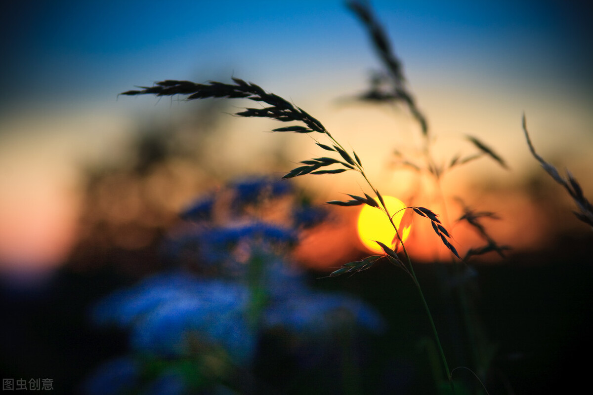 散文 夕阳西下