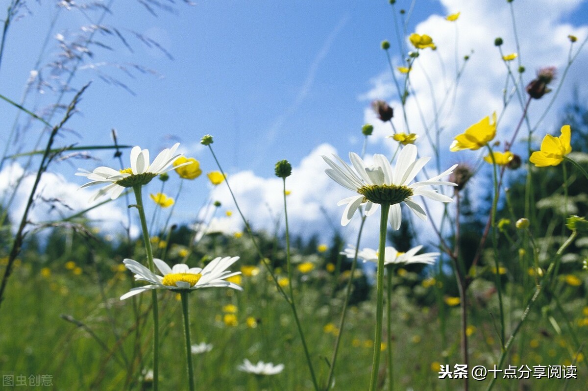 什么样的职场定位，决定了什么样的职场际遇