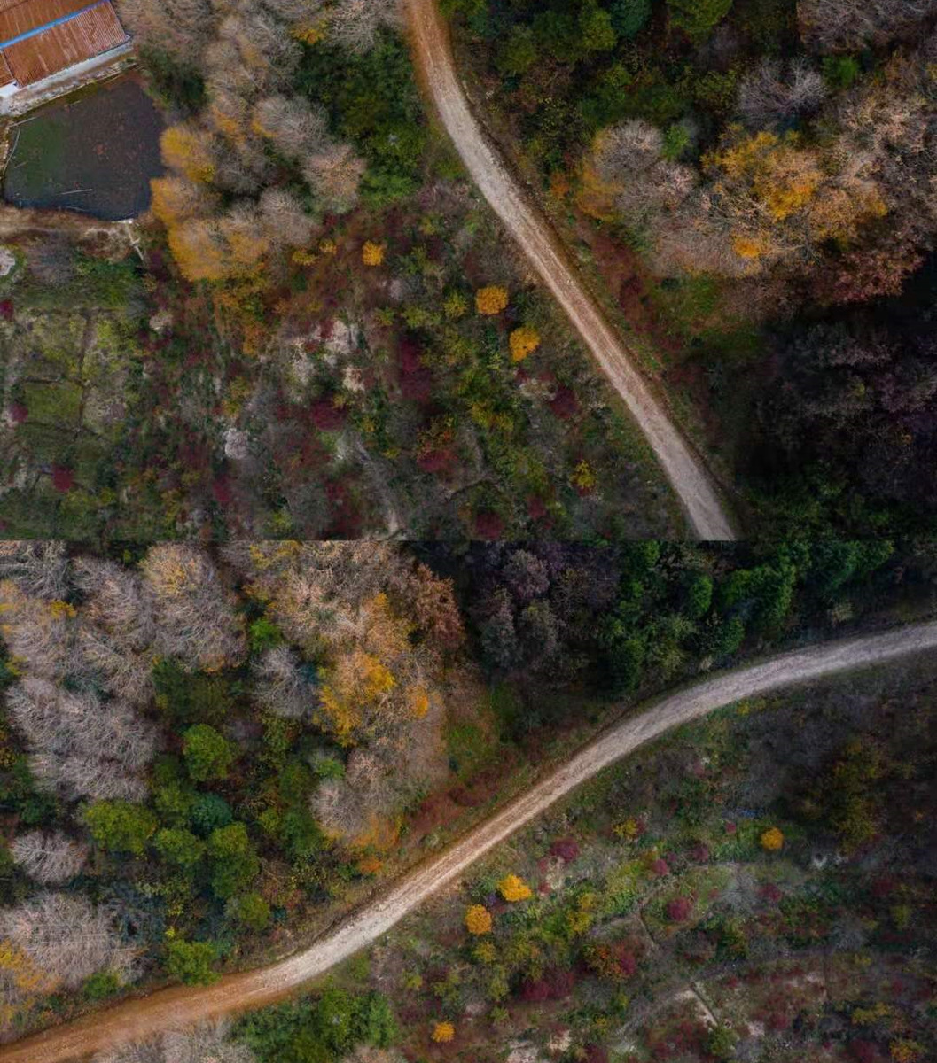 宁波自驾路线，沉浸在四明秋色中，一起看秋天的童话