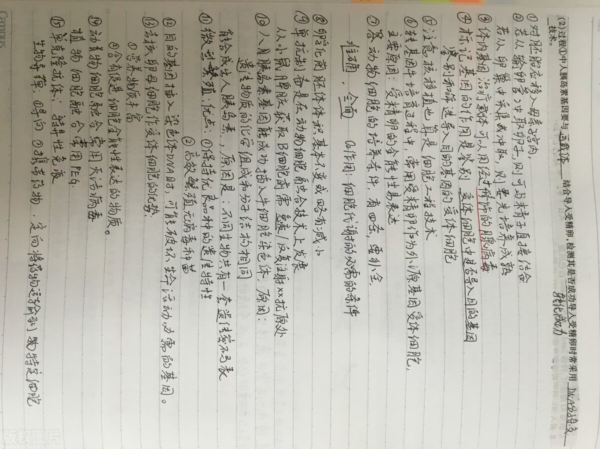 中考作文滿分、語文總分142，總結經(jīng)驗：多得分，提前做2件事