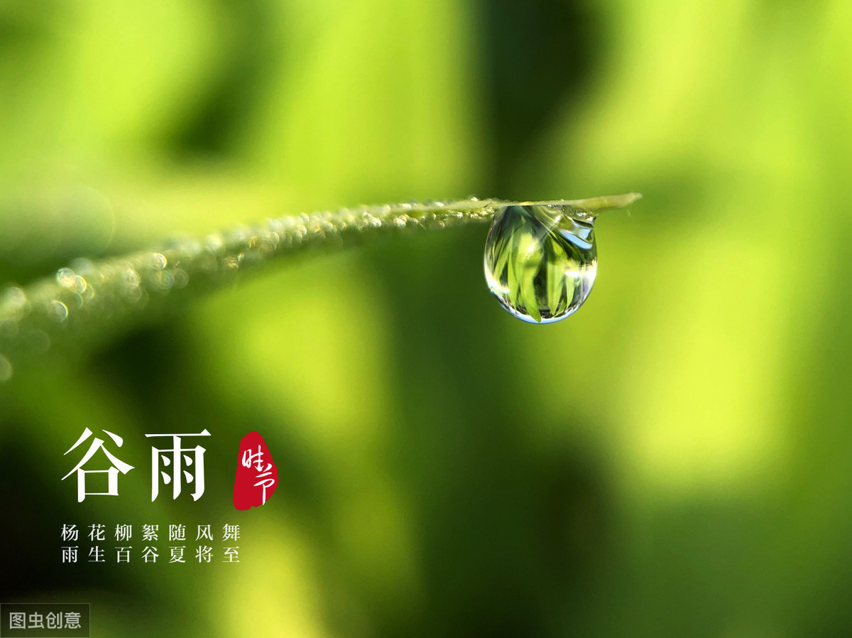 图片[1]-明日谷雨这5种食物要抓紧吃营养美味正当时错过只能等明年-起舞食谱网