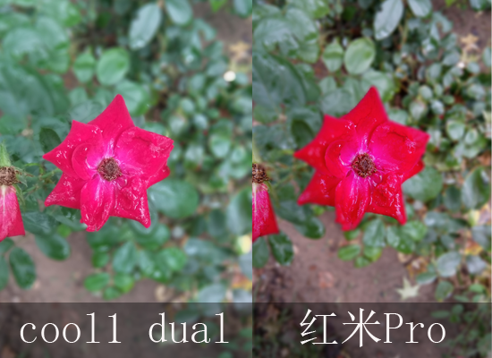 比红米Pro有看点！cool1 dual评测：拍照很给力