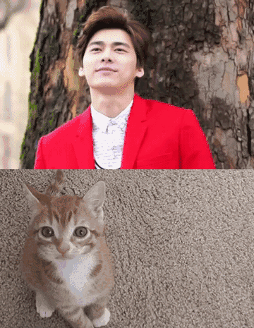 前世五百次的回眸,才换来今生的一次神同步