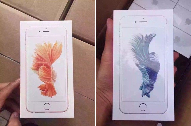 iPhone6s拆箱先发 玫瑰金色初次现身