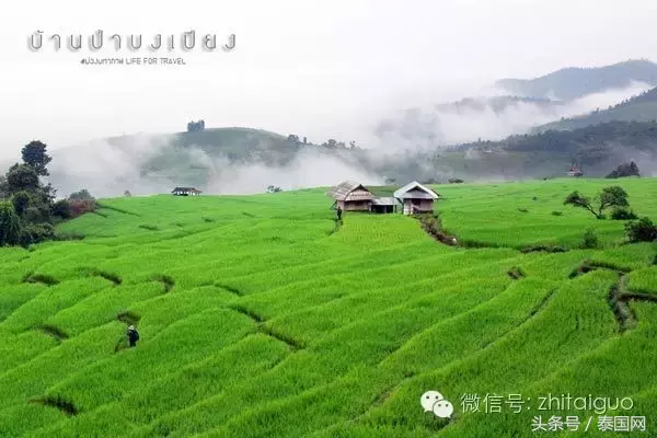 清迈美之所在，避世绝尘自然梯田！