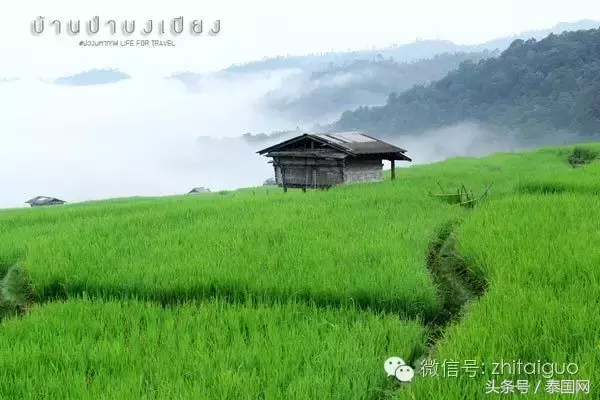 清迈美之所在，避世绝尘自然梯田！