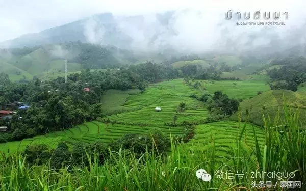 清迈美之所在，避世绝尘自然梯田！