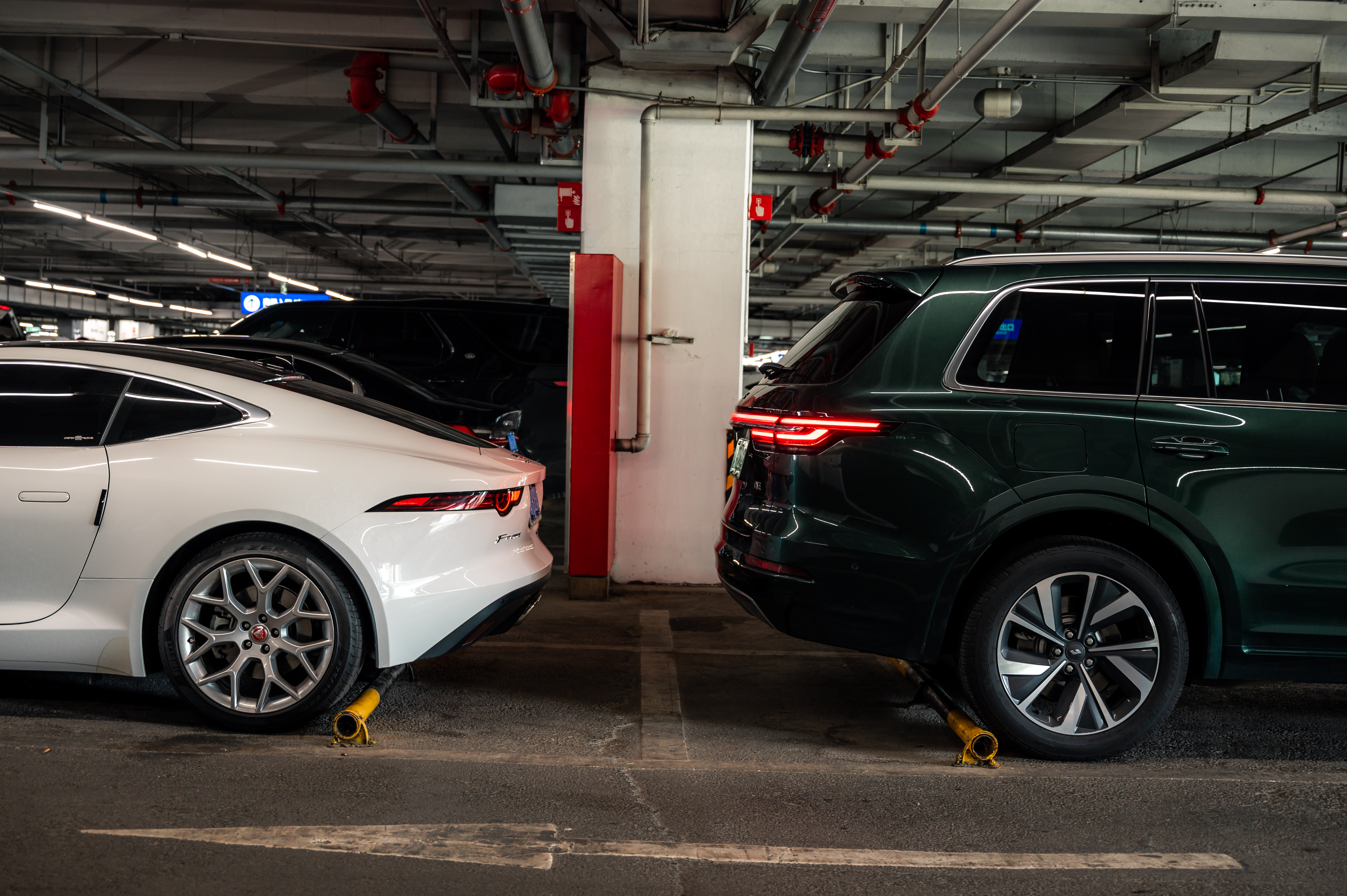 中年人的理想是“理想”，年轻人的理想是什么？