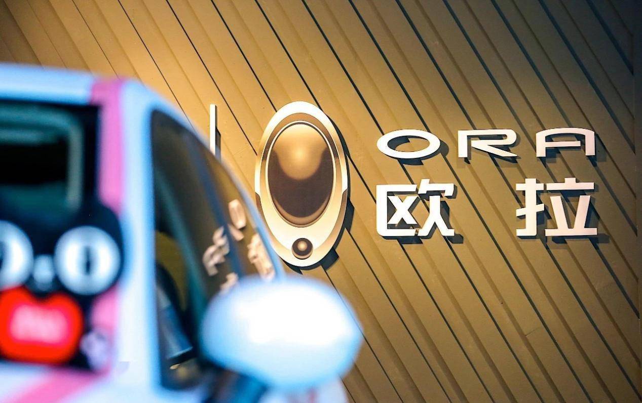 号称最懂女人的国产品牌，却惹上大众和保时捷，欧拉能一炮而红？