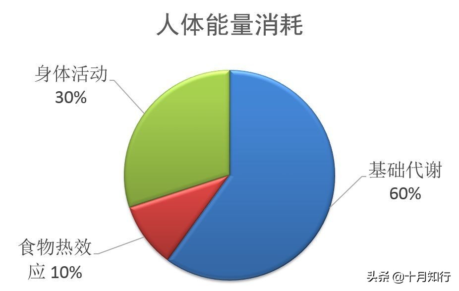 為什麼中年以後容易變胖？做好5點，有效提高代謝，恢復輕盈體態