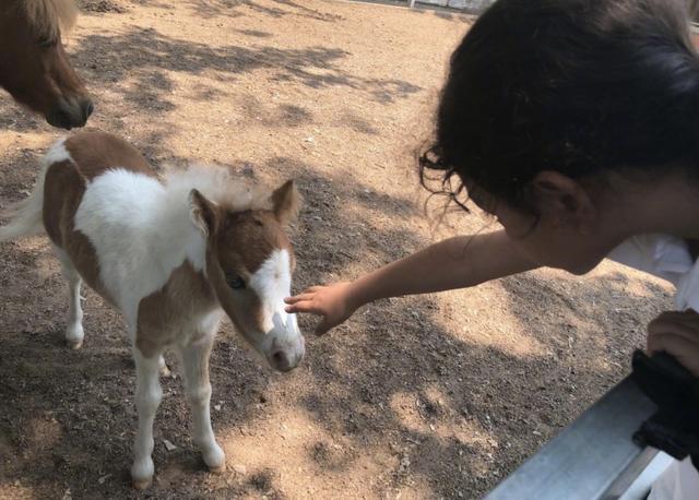 劉燁妻子曬女兒九歲生日照，雙眼有神皮膚黑，一對兔牙搶鏡