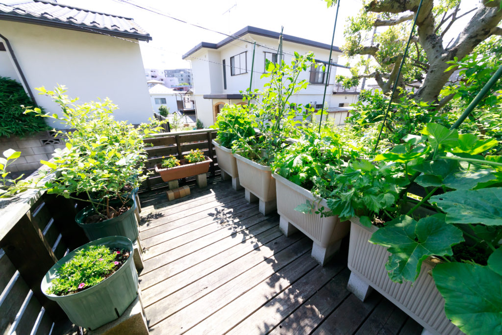 看了这套日本朴素住宅才发现，能留住人心的家，绝不是靠豪装