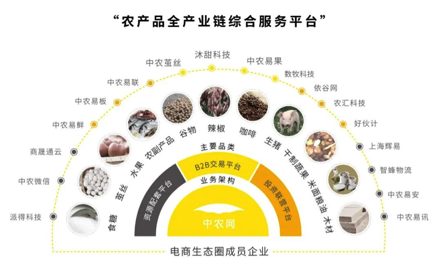 卓爾蟬聯新興產業企業百強 中農網三度入圍“中國企業500強”