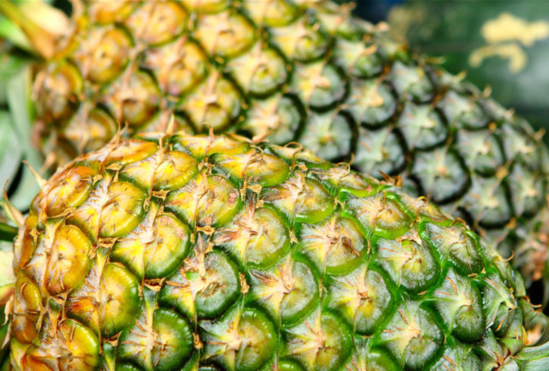 菠蘿和鳳梨傻傻分不清？ 牢記這4點，看一眼就分出來，別再亂買了