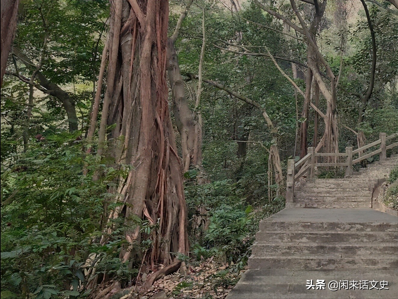 王维三首最精彩的五绝山水诗，首首深邃幽远，出神入化，妙不可言-第4张图片-非凡网