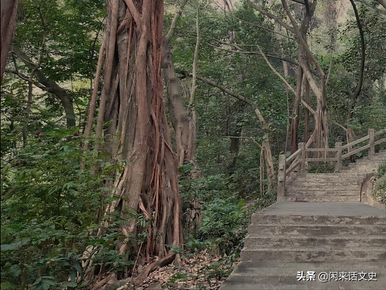 王维三首最精彩的五绝山水诗，首首深邃幽远，出神入化，妙不可言-第4张图片-诗句网